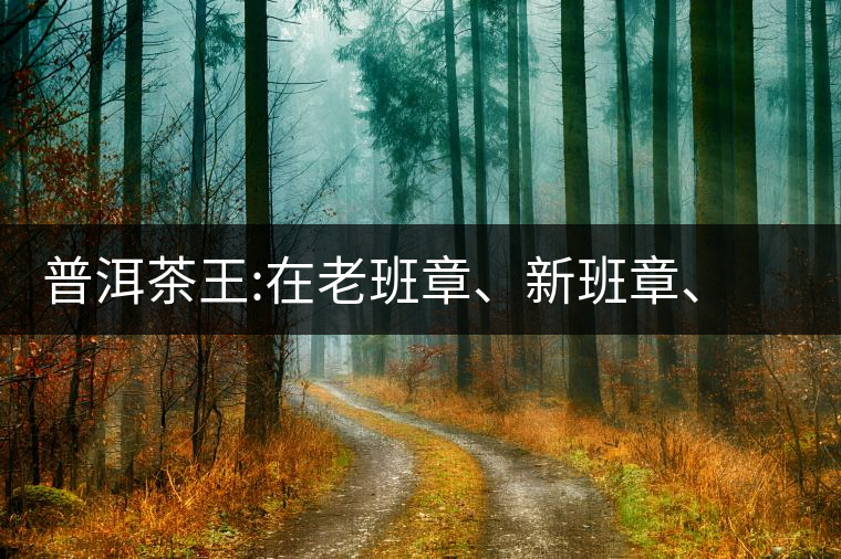 普洱茶王:在老班章、新班章、老曼峨之間普洱茶王：在老班章、新班章、老曼峨之間