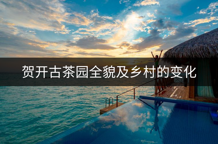 賀開古茶園全貌及鄉(xiāng)村的變化 賀開古茶園全貌及鄉(xiāng)村的變化
