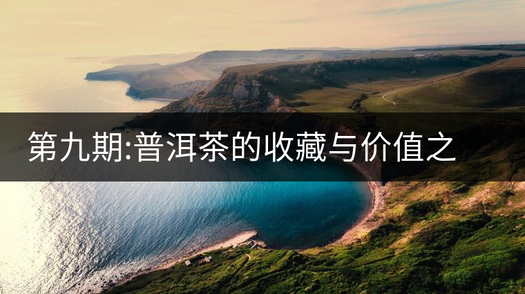 第九期:普洱茶的收藏與價值之新六大茶山賀開與景邁《老徐談茶》第九期:普洱茶的收藏與價值之新六大茶山賀開與景邁 第九期:普洱茶的收藏與價值之新六大茶山賀開與景邁《老徐談茶》第九期:普洱茶的收藏與價值之新六大茶山賀開與景邁