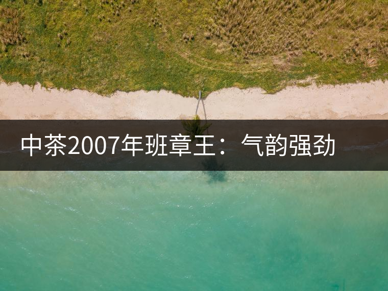 中茶2007年班章王：氣韻強勁，蜂蜜水般甜潤，一直被老茶客撿漏