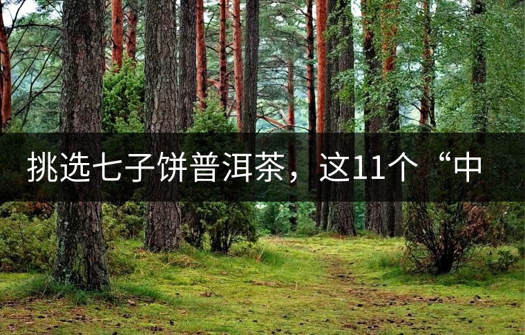 挑選七子餅普洱茶，這11個“中茶”標志千萬別弄混!挑選七子餅普洱茶，這11個“中茶”標志千萬別弄混！