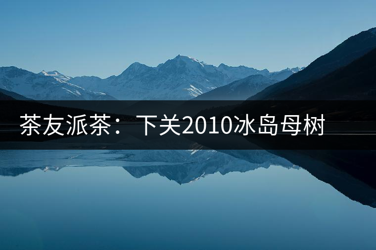 茶友派茶：下關(guān)2010冰島母樹，挺甜的，母樹是個什么概念？
