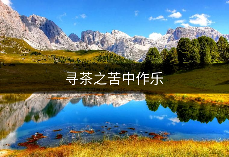 尋茶之苦中作樂 尋茶之苦中作樂