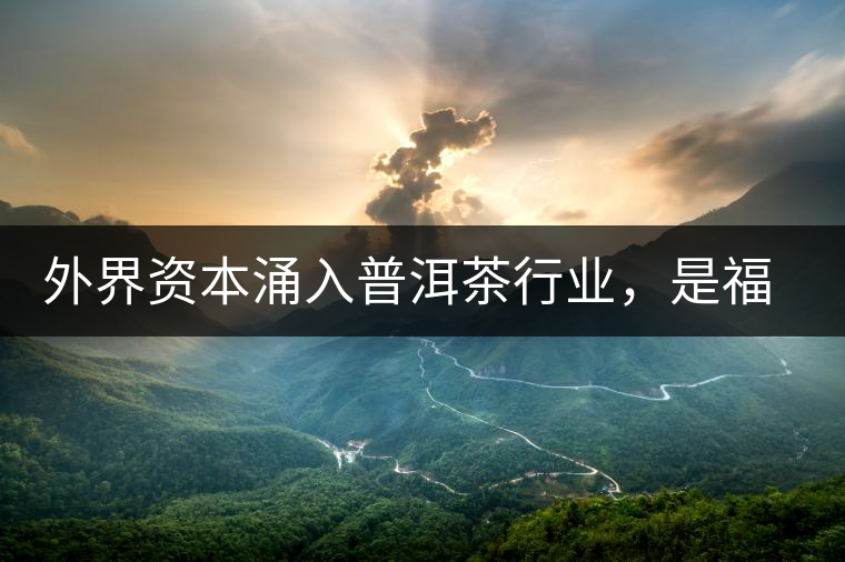 外界資本涌入普洱茶行業(yè)，是福還是禍？