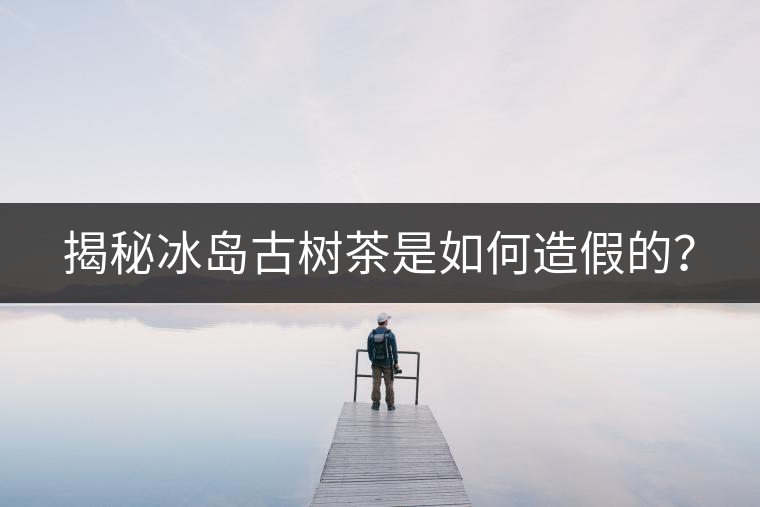 揭秘冰島古樹茶是如何造假的？