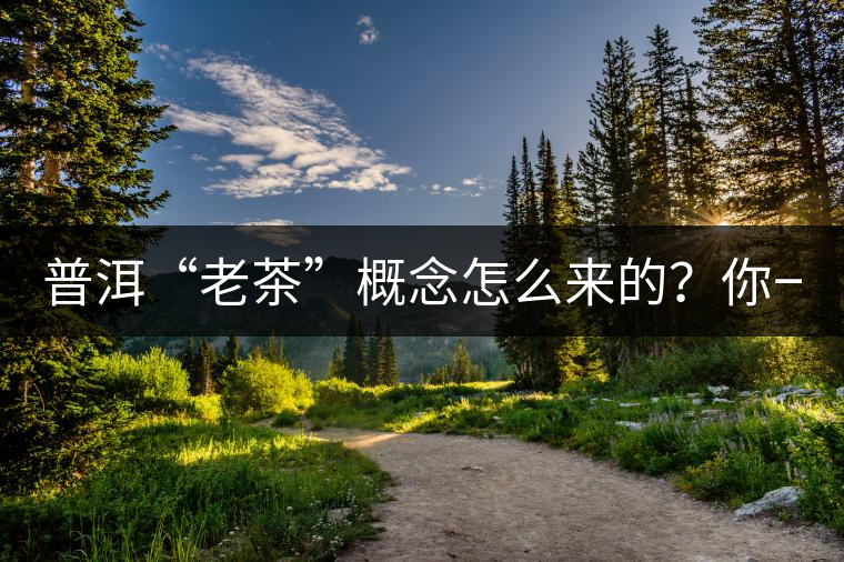 普洱“老茶”概念怎么來的？你一定想不到！