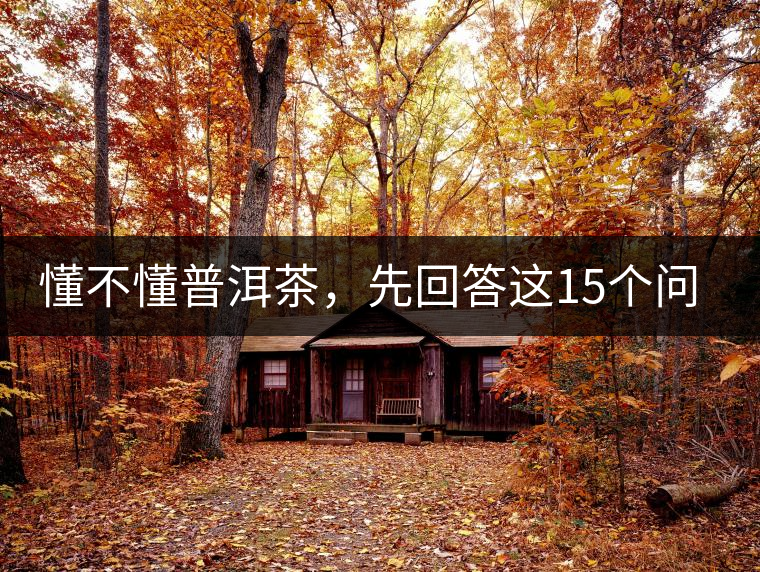 懂不懂普洱茶，先回答這15個問題試試？