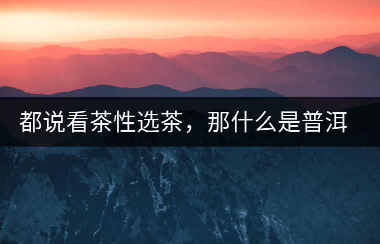 都說看茶性選茶，那什么是普洱茶的“茶性”呢？