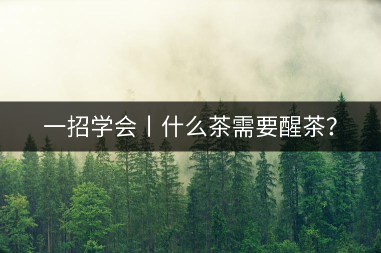 一招學會丨什么茶需要醒茶？