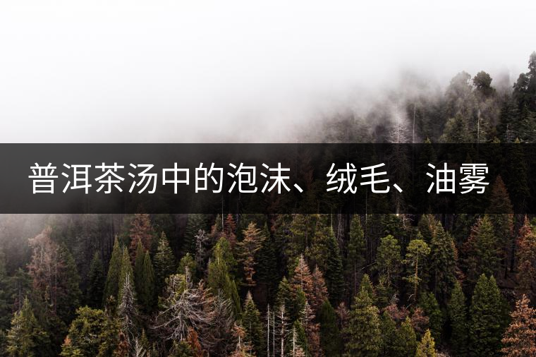 普洱茶湯中的泡沫、絨毛、油霧、絮狀物……原來是這些東西！