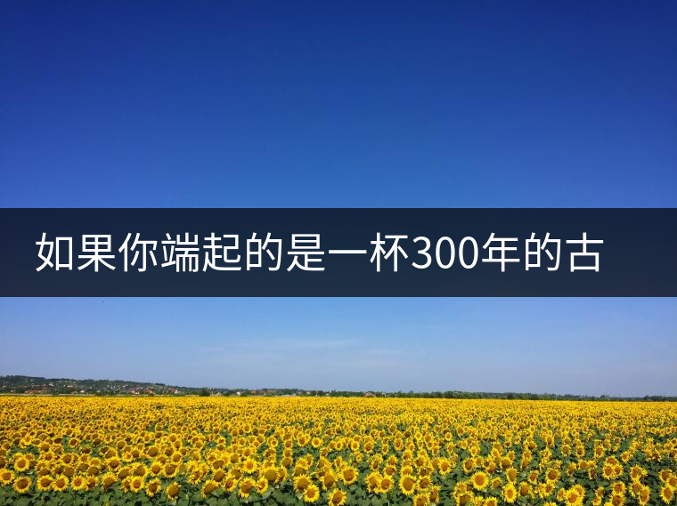 如果你端起的是一杯300年的古樹茶，那會是一種怎樣的心境？