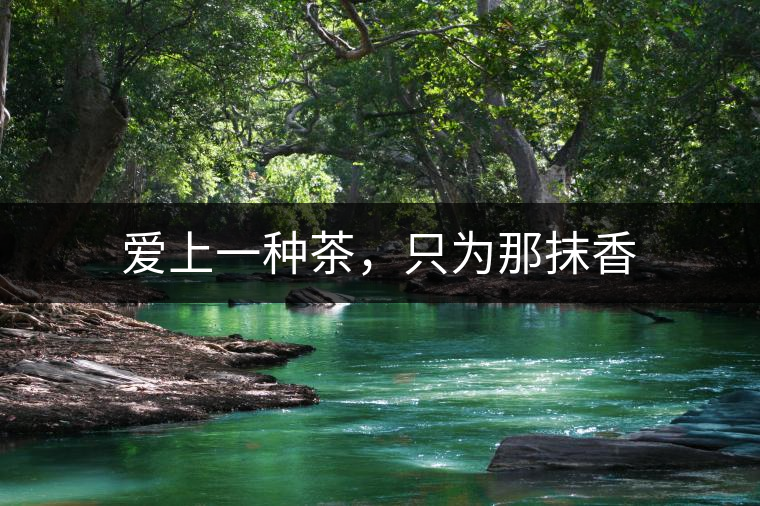 愛(ài)上一種茶，只為那抹香