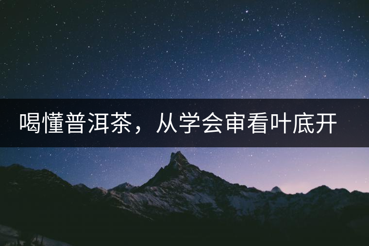 喝懂普洱茶，從學(xué)會(huì)審看葉底開始