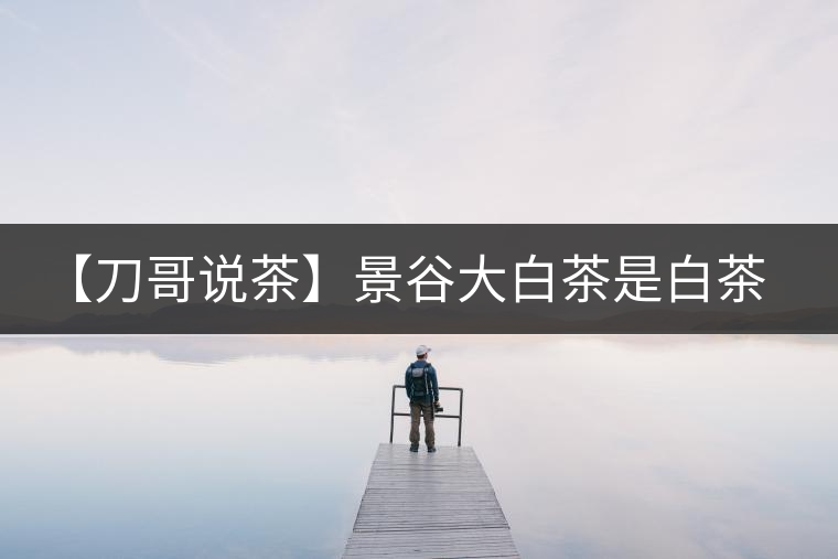 【刀哥說茶】景谷大白茶是白茶還是普洱茶？