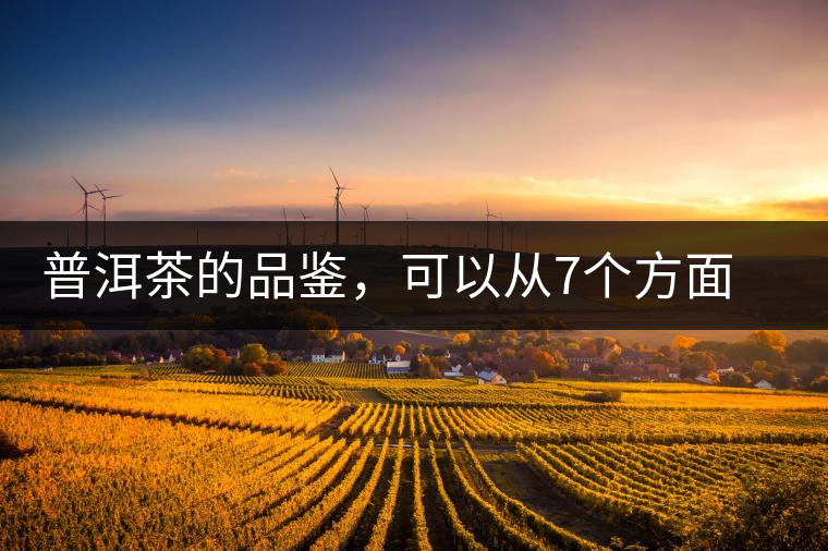 普洱茶的品鑒，可以從7個(gè)方面著手