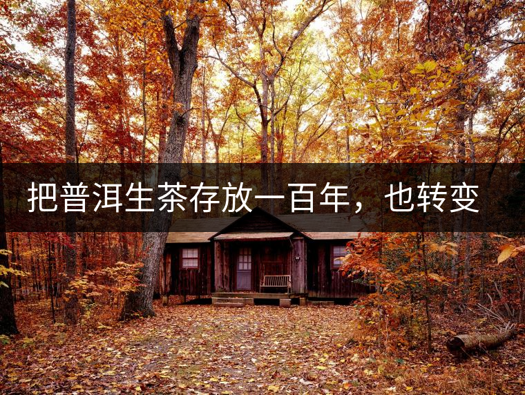 把普洱生茶存放一百年，也轉(zhuǎn)變不成熟茶