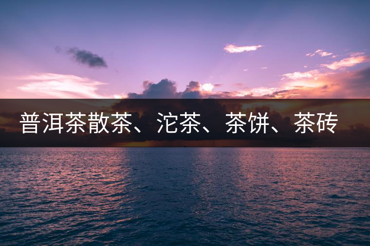 普洱茶散茶、沱茶、茶餅、茶磚哪種更好？