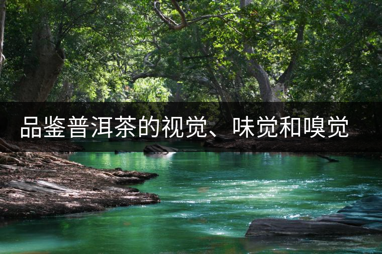 品鑒普洱茶的視覺、味覺和嗅覺指標(biāo)