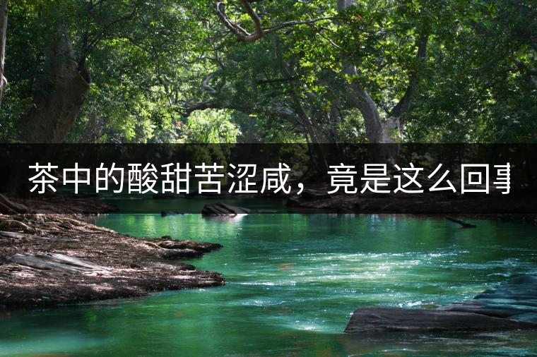 茶中的酸甜苦澀咸，竟是這么回事！