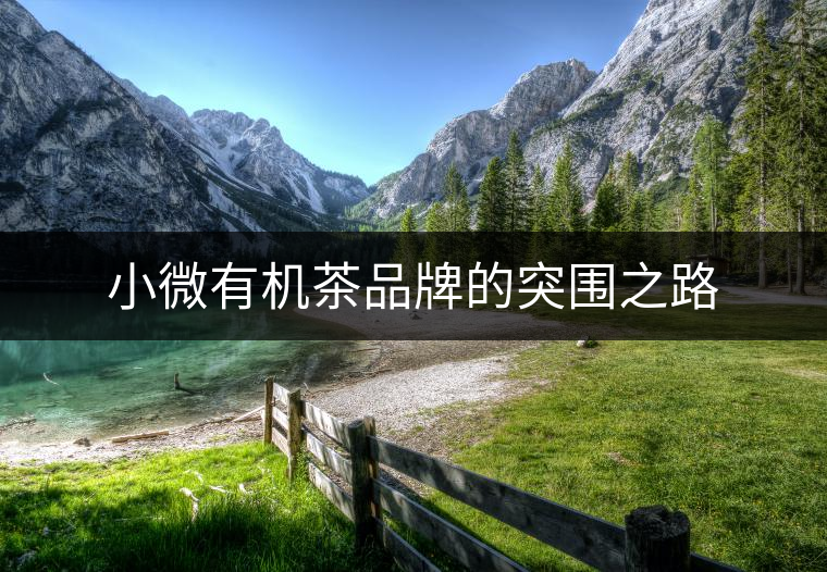 小微有機(jī)茶品牌的突圍之路 小微有機(jī)茶品牌的突圍之路