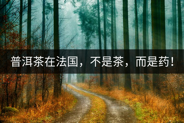 普洱茶在法國，不是茶，而是藥！