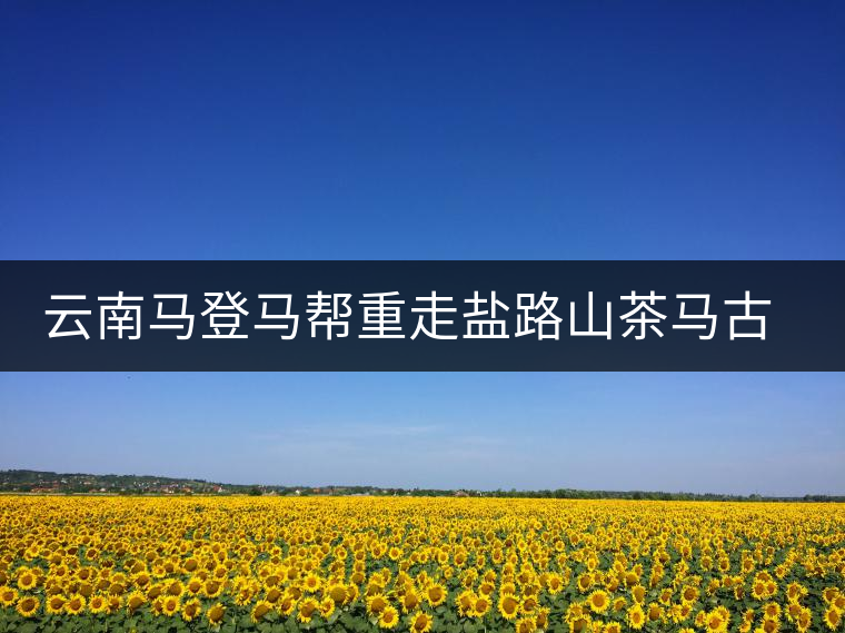 云南馬登馬幫重走鹽路山茶馬古道 為茶馬古道申報世界自然遺產(chǎn)拍攝紀錄片 云南馬登馬幫重走鹽路山茶馬古道 為茶馬古道申報世界自然遺產(chǎn)拍攝紀錄片