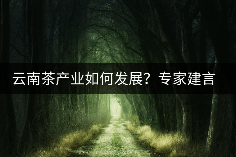 云南茶產(chǎn)業(yè)如何發(fā)展？專家建言：產(chǎn)業(yè)復(fù)興助脫貧