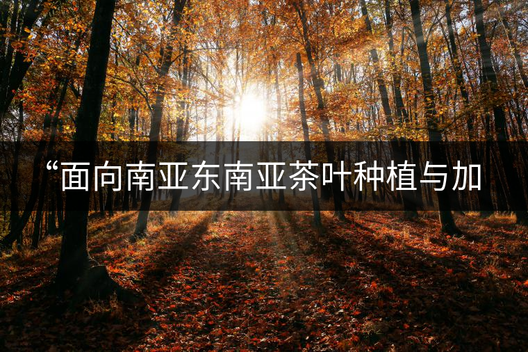 “面向南亞?wèn)|南亞茶葉種植與加工技術(shù)培訓(xùn)班”在昆開(kāi)班 “面向南亞?wèn)|南亞茶葉種植與加工技術(shù)培訓(xùn)班”在昆開(kāi)班