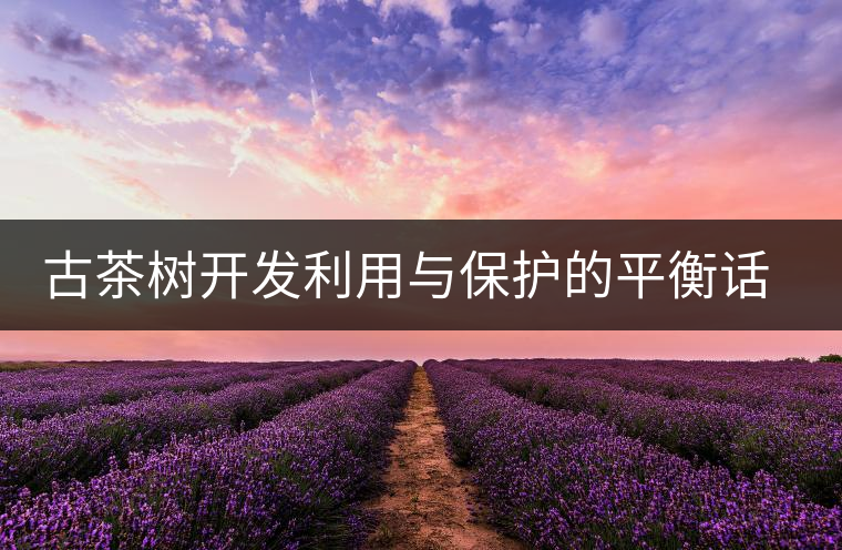 古茶樹開發(fā)利用與保護(hù)的平衡話題再次引人關(guān)注 古茶樹開發(fā)利用與保護(hù)的平衡話題再次引人關(guān)注