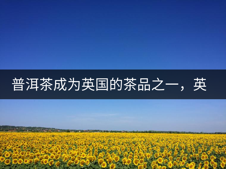 普洱茶成為英國(guó)的茶品之一，英國(guó)雜志給出7大理由