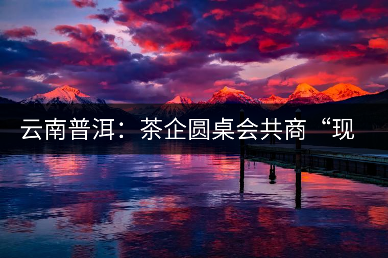 云南普洱：茶企圓桌會共商“現(xiàn)在·未來