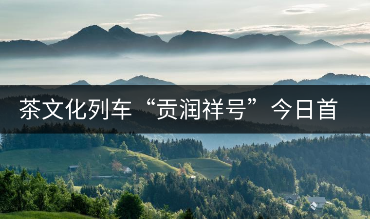 茶文化列車“貢潤(rùn)祥號(hào)”今日首發(fā) 普洱茶膏搭上高鐵走出云南 茶文化列車“貢潤(rùn)祥號(hào)”今日首發(fā) 普洱茶膏搭上高鐵走出云南