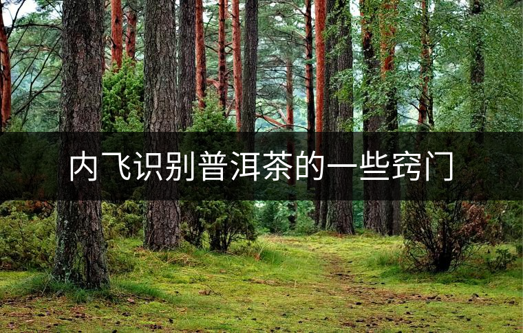 內(nèi)飛識(shí)別普洱茶的一些竅門 內(nèi)飛識(shí)別普洱茶的一些竅門