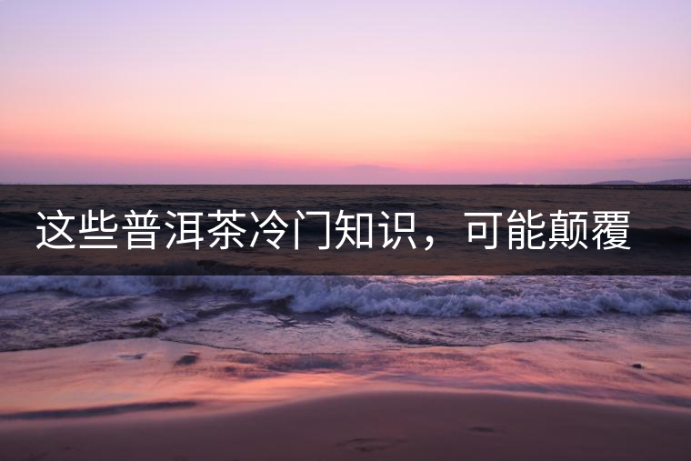 這些普洱茶冷門知識，可能顛覆你對普洱茶的認知