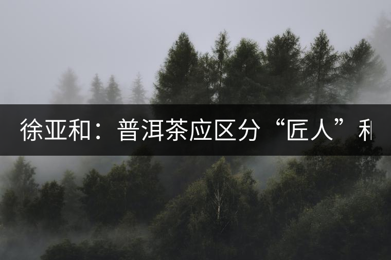 徐亞和：普洱茶應(yīng)區(qū)分“匠人”和“投機者”