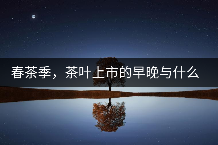 春茶季，茶葉上市的早晚與什么有關(guān)