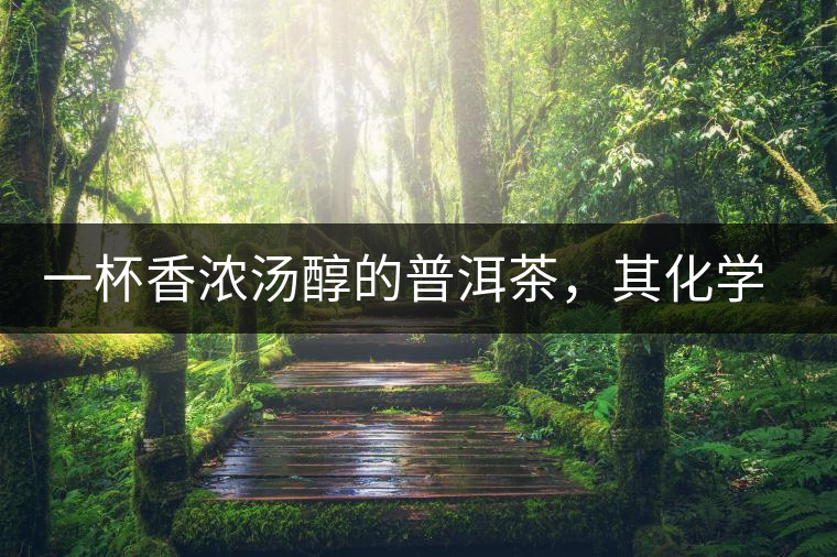 一杯香濃湯醇的普洱茶，其化學(xué)成分是怎樣的？