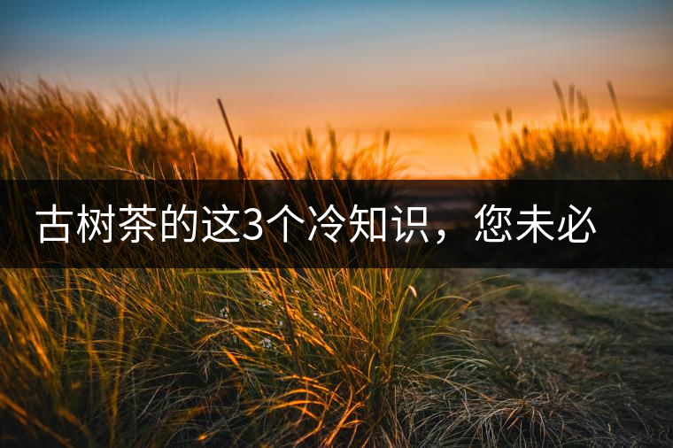 古樹(shù)茶的這3個(gè)冷知識(shí),您未必知道 古樹(shù)茶的這3個(gè)冷知識(shí),您未必知道
