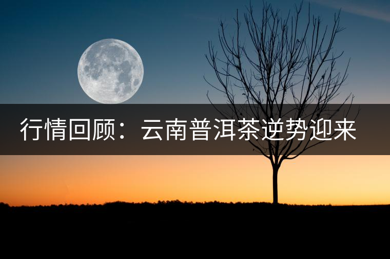 行情回顧:云南普洱茶逆勢(shì)迎來“5連漲” 行情回顧:云南普洱茶逆勢(shì)迎來“5連漲”