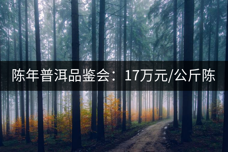 陳年普洱品鑒會：17萬元/公斤陳茶 天月茶城免費喝