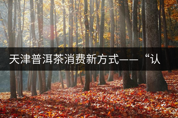 天津普洱茶消費(fèi)新方式——“認(rèn)養(yǎng)”勐海古茶樹(shù)