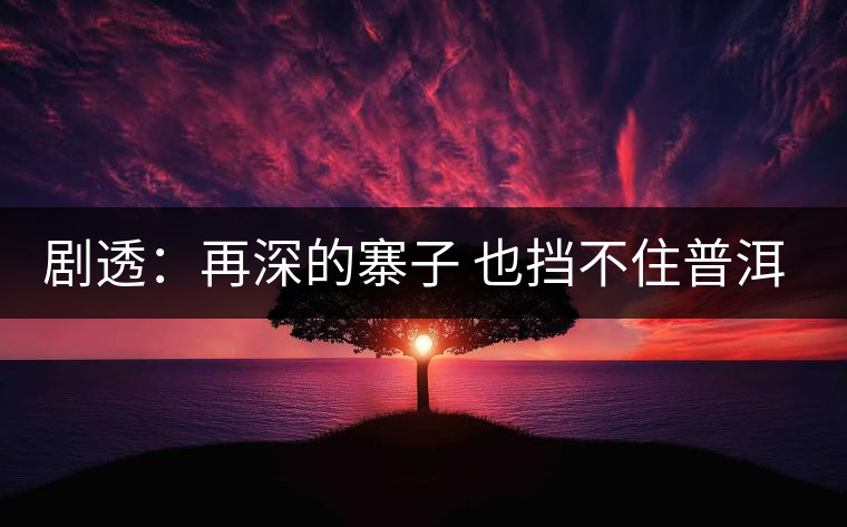劇透:再深的寨子 也擋不住普洱茶的醇香 劇透:再深的寨子 也擋不住普洱茶的醇香
