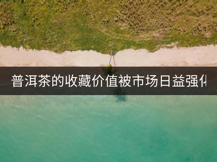 普洱茶的收藏價(jià)值被市場(chǎng)日益強(qiáng)化 藏家應(yīng)冷靜看待