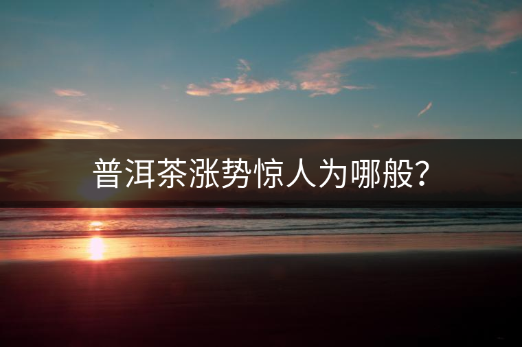 普洱茶漲勢(shì)驚人為哪般？
