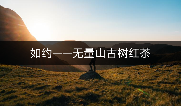 如約——無(wú)量山古樹(shù)紅茶 如約——無(wú)量山古樹(shù)紅茶