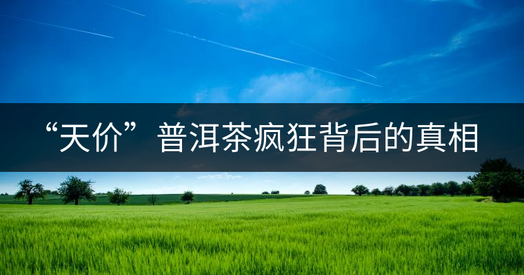 “天價(jià)”普洱茶瘋狂背后的真相