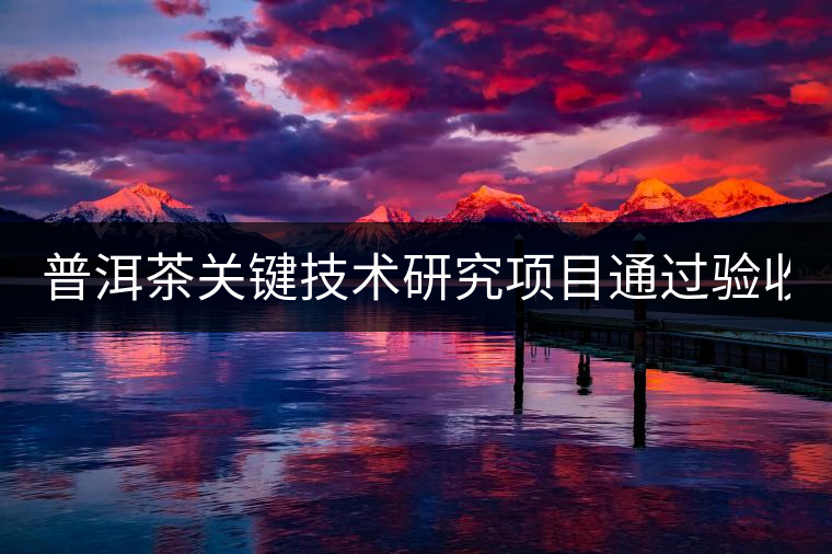 普洱茶關(guān)鍵技術(shù)研究項目通過驗收 普洱茶發(fā)展再添力