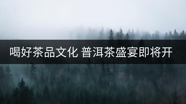 喝好茶品文化 普洱茶盛宴即將開場 喝好茶品文化 普洱茶盛宴即將開場