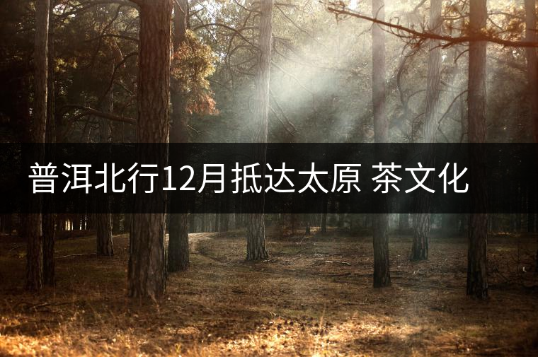 普洱北行12月抵達(dá)太原 茶文化交流再掀高潮 普洱北行12月抵達(dá)太原 茶文化交流再掀高潮