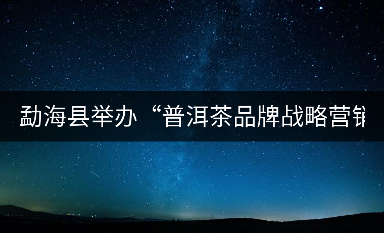 勐?？h舉辦“普洱茶品牌戰(zhàn)略營銷專題講座”